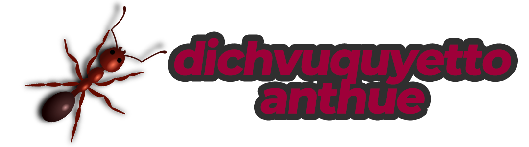 Dichvuquyettoanthue